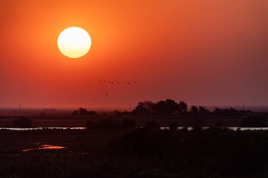 Telephoto shot of the setting sun over the chobe river on a bright winter afternoon in Botswana.