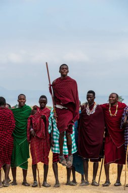 Mto wa Mbu, Tanzanya - 4 Ağustos 2024. Kuzey Tanzanya 'daki Masai halkının Mto wa Mbu kasabası yakınlarındaki hoş geldin dansının taklidi. Masajiler geleneksel yaşam tarzlarıyla tanınırlar.
