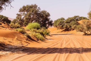 Batı Namibya 'nın Sossusvlei' sini oluşturan devasa kum tepelerinin etkisi.
