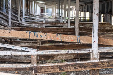 Punta Arenas, Şili - 24 Ocak 2024. Estancia San Gregorio 'nun iç kısmının ayrıntıları. Bu terk edilmiş Estonya bir zamanlar Güney Patagonya 'nın en büyük koyun yünü üreticilerinden biriydi..