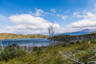 Refugio Frances 'tan Paine Grande' ye doğru yapılan yürüyüş için etkileyici bir dağ manzarası Torres Del Paine Ulusal Parkı, Patagonya, Şili.