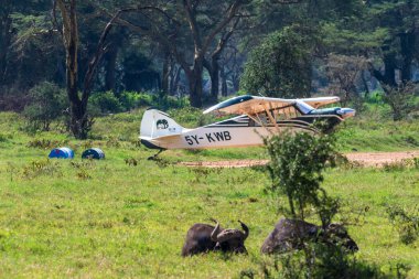 Nakura Gölü Ulusal Parkı, Kenya - 25 Temmuz 2024. Nakuru Gölü Ulusal Parkı 'ndaki küçük bir pistin yakınına park edilmiş küçük bir uçağın yakın çekimi. Bu park vahşi bolluğu ile ünlüdür.