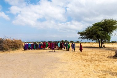 Mto wa Mbu, Tanzanya - 4 Ağustos 2024. Kuzey Tanzanya 'daki Masai halkının Mto wa Mbu kasabası yakınlarındaki hoş geldin dansının taklidi. Masajiler geleneksel yaşam tarzlarıyla tanınırlar.