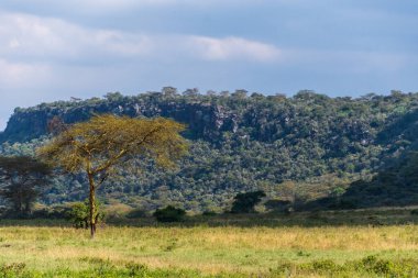Kenyas Rift Vadisi 'nde yer alan Nakuru Ulusal Parkı flamingo ve pelikanların yaşadığı Nakuru Gölü ile ünlüdür. Parkta savanalar, ormanlık alanlar ve gergedanlar gibi çeşitli vahşi yaşam çeşitliliğine sahip şelaleler yer almaktadır.
