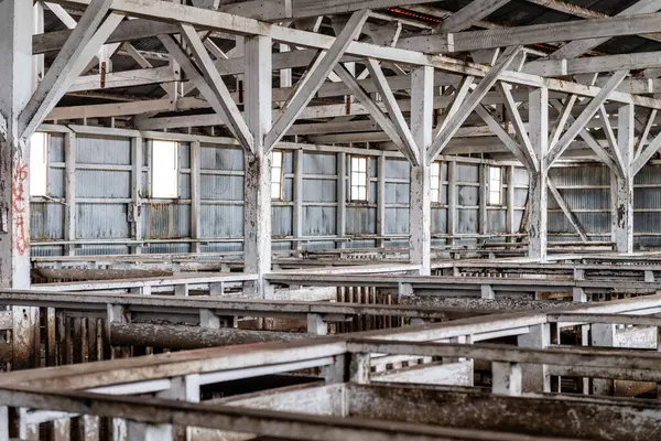 Punta Arenas, Şili - 24 Ocak 2024. Estancia San Gregorio 'nun iç kısmının ayrıntıları. Bu terk edilmiş Estonya bir zamanlar Güney Patagonya 'nın en büyük koyun yünü üreticilerinden biriydi..