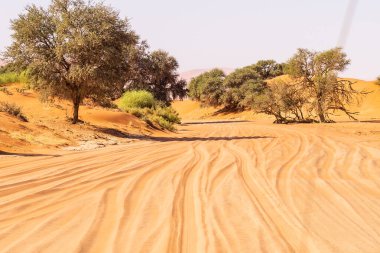 Batı Namibya 'nın Sossusvlei' sini oluşturan devasa kum tepelerinin etkisi.