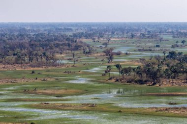 Botswana 'daki Okavango Deltası' nın hava görüntüsü. Helikopterden görüldüğü gibi..
