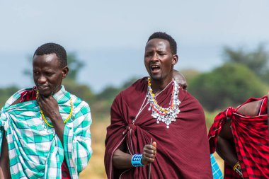 Mto wa Mbu, Tanzanya - 4 Ağustos 2024. Kuzey Tanzanya 'daki Masai halkının Mto wa Mbu kasabası yakınlarındaki hoş geldin dansının taklidi. Masajiler geleneksel yaşam tarzlarıyla tanınırlar.