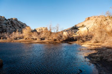 Altın saat boyunca Joshua Tree Ulusal Parkı 'nda Barker Barajı' na tepeden bakan.