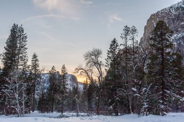 Yosemite Ulusal Parkı 'ndaki dağların arkasında batan güneş karla kaplı ağaçları aydınlatıyor..