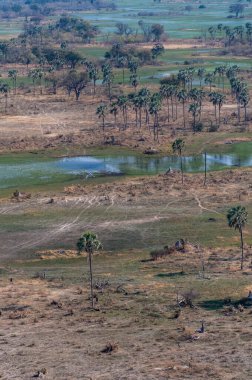 Botswana 'daki Okavango Deltası' nın hava görüntüsü. Helikopterden görüldüğü gibi..