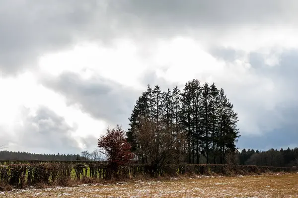 Ardennes 'teki Malmedy yakınlarında Belçika' nın Mont kasabasının yakınlarındaki ormanın dış görüntüsü.