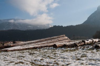 Entre-deux-guiers kasabası yakınlarındaki Fransız savoy bölgesinde kış manzarası.