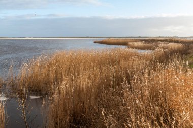 Friesland Hollanda 'da nispeten soğuk bir kış akşamında gün batımının etkisi. Görüntü Lemmer kasabasından ve buharla çalışan klasik su pompasından geliyor..
