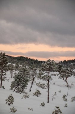 Snow landscape in the mountains of arctic Norway in winter