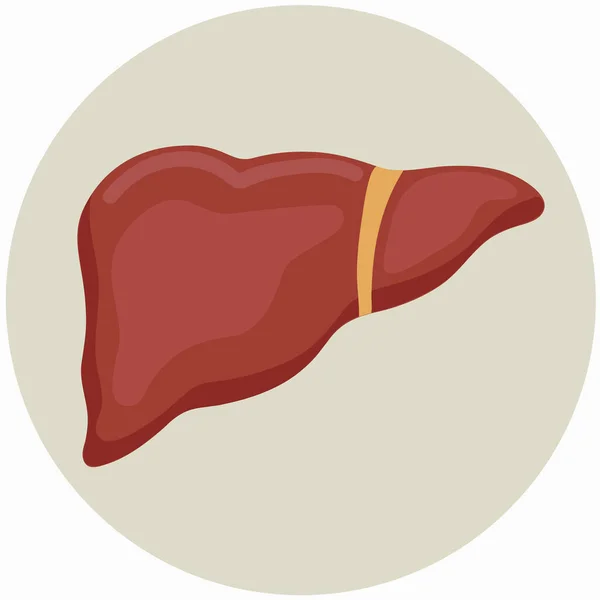 Liver Icon Clipart Isolated Vector Illustration — Vettoriale Stock