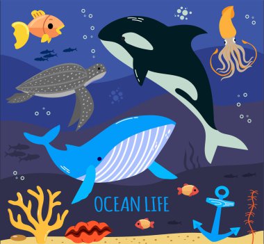 Deniz ve okyanus hayvanları, kaplumbağa, mürekkep balığı, balık ve balina çizgi film çizimleri.