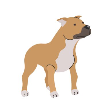 Staffordshire boğa terriericon Clipart Avatar logotype yalıtılmış illüstrasyon