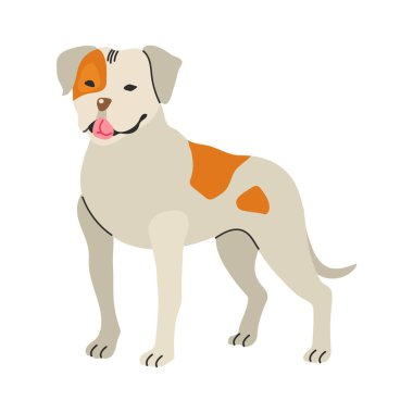 Amerikan bulldog ikonu Clipart avatar logotype yalıtılmış çizim