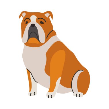 Eski İngiliz buldog ikonu Clipart Avatar logotype yalıtılmış çizim