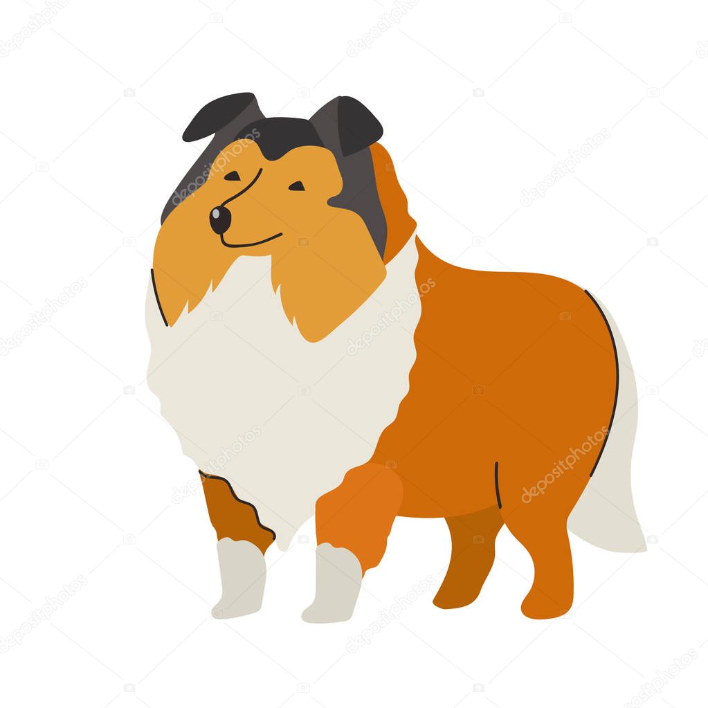 Shetland sheepdog icon clipart avatar logotype isolated illustration