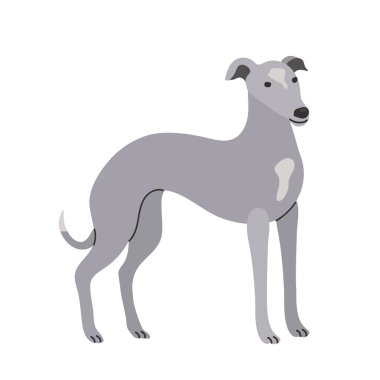 Greyhound simgesi clipart avatar logotype tecrit edilmiş illüstrasyon