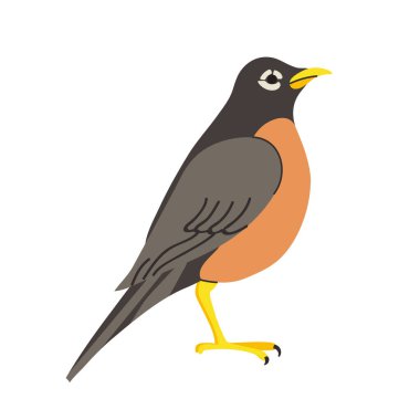 Amerikan Robin Simgesi Clipart Avatar logotype yalıtılmış çizim