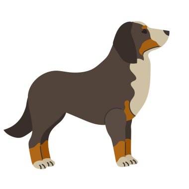 Bernese dağ köpeği ikonu Clipart avatar logotype yalıtılmış çizim