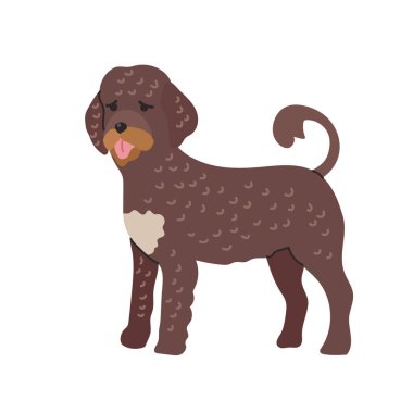 Portekiz su köpeği ikonu Clipart Avatar logotype tecrit edilmiş çizim