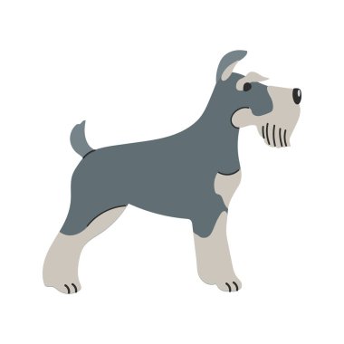 Minyatür schnauzer simgesi Clipart avatar logotype yalıtılmış illüstrasyon