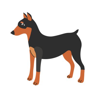 Minyatür pinscher simgesi Clipart Avatar logotype yalıtılmış illüstrasyon