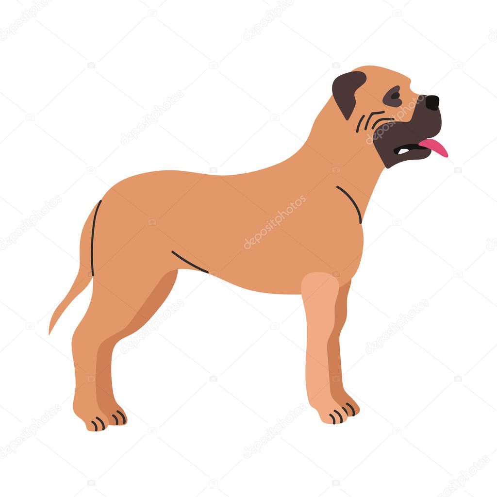 Bull mastiff icon clipart avatar logotype isolated illustration