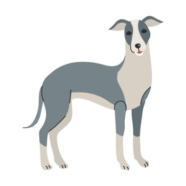 Whippet simgesi clipart avatar logotype tecrit edilmiş illüstrasyon