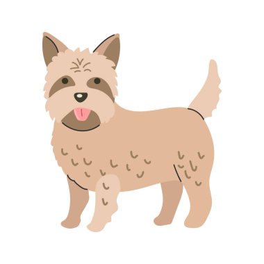 Cairn Teriyer simgesi Clipart Avatar logotype tecrit edilmiş illüstrasyon