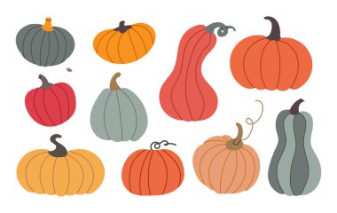 Farklı kabak ikonu, clipart, beyaz arkaplan üzerinde izole illüstrasyon içeren Autumn Set Collection