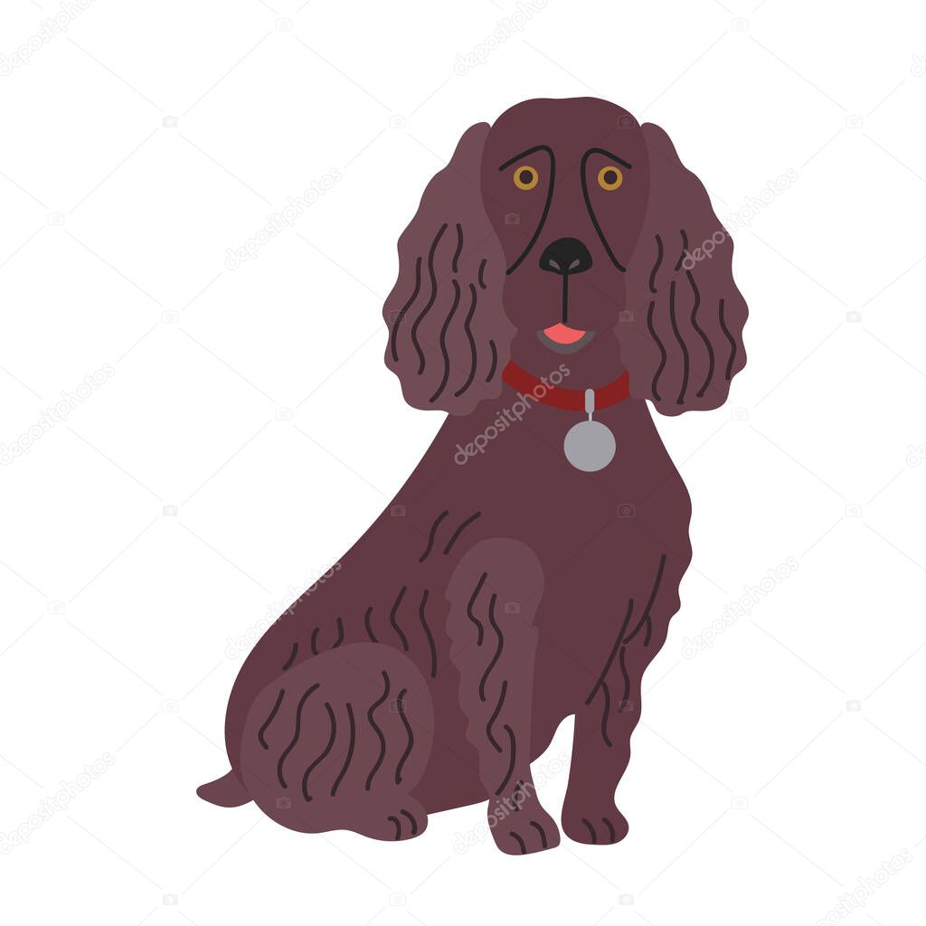 Boykin spaniel icon clipart avatar logotype isolated illustration