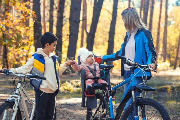 Дети Мамой Катаются Велосипеде Однажды Осенним Днем Сосновом Лесу — стоковое фото