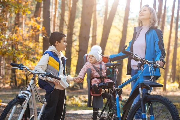 秋天的一天 孩子们和妈妈一起骑自行车在松林里 — 图库照片
