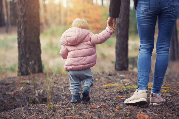 Mutter Und Kleine Tochter Gehen Hand Hand Durch Einen Nadelwald — Stockfoto