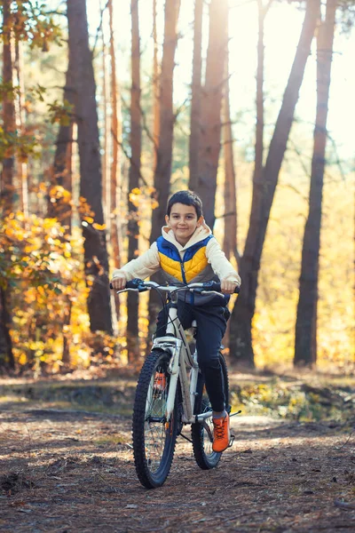 秋天美丽的一天 快乐的小男孩骑自行车在松林里玩得很开心 有孩子的闲暇概念 — 图库照片