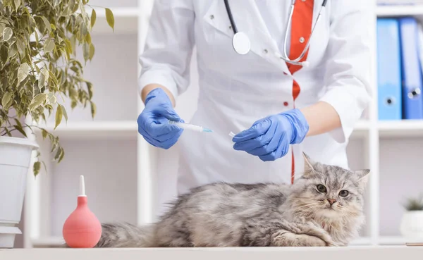 Woman Doctor Vaccinates Gray Cat Veterinary Clinic Medicine Pets — Photo