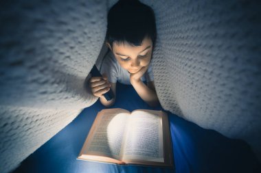 Küçük bir fotoğrafçının masaüstü. Üst Manzara. Kameralı ve laptoplu küçük çocuk ahşap bir masada..