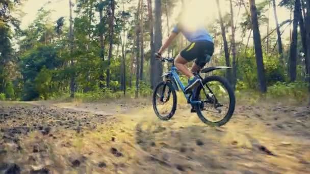 Happy Berjenggot Pria Pengendara Sepeda Hutan Cerah Pada Sepeda Gunung — Stok Video