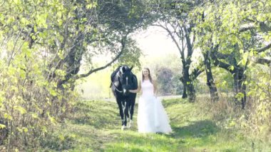 Sonbahar parkında beyaz gelinlikli bir kadın bir atla yürüyor. At biniciliği