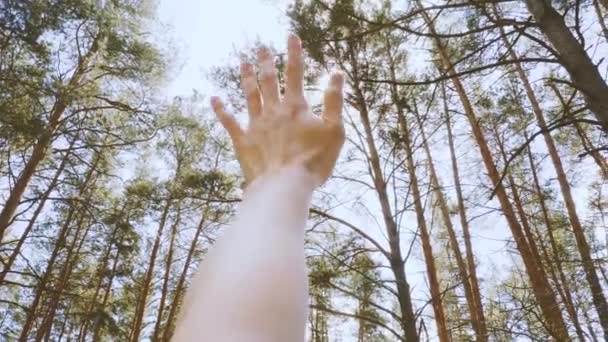 Ženy Ruka Zakrývající Její Tvář Před Slunečními Paprsky Borovém Lese — Stock video