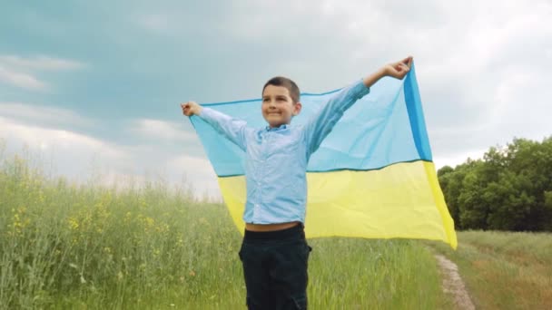 为乌克兰祈祷 一个拿着乌克兰国旗的男孩在麦田里干活 小男孩挥动国旗祈祷和平 快乐的孩子庆祝独立日 — 图库视频影像