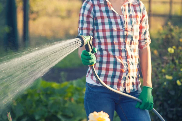 Young Woman Watering Flowers Hose Sprayer Garden Sunny Summer Day — Stock Photo, Image
