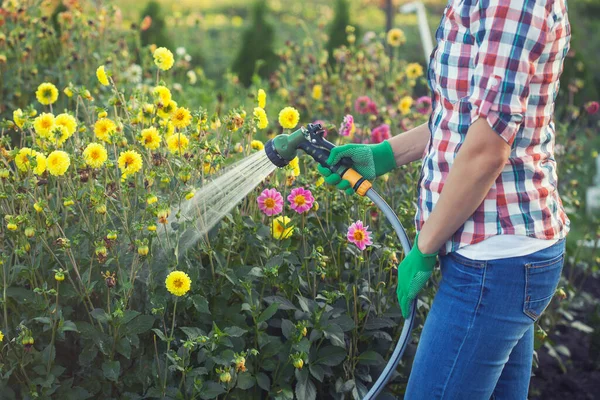 Young Woman Watering Flowers Hose Sprayer Garden Sunny Summer Day — Stock Photo, Image