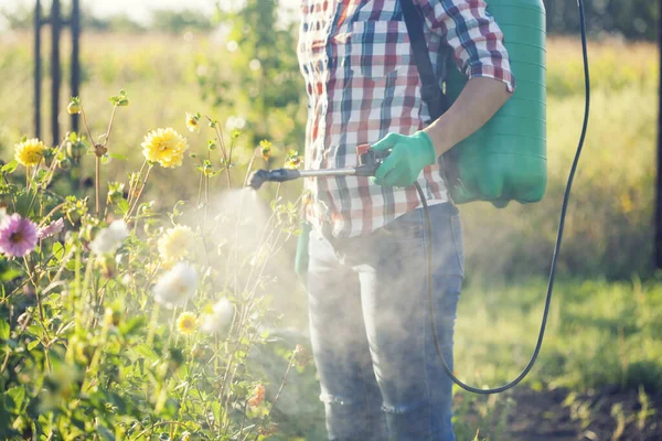 Молодая Женщина Зеленом Рюкзаке Напорным Садовым Распылителем Распыляющим Цветы Против — стоковое фото
