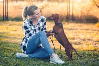 Kırmızı dachshund köpeği güneşli bir yaz parkında sahibiyle oynuyor.